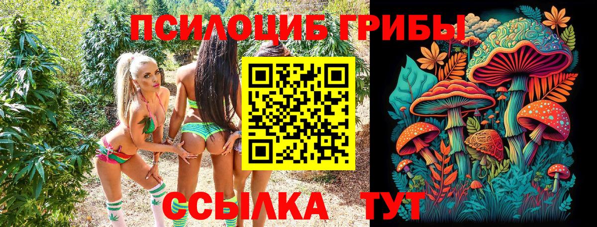 Галлюциногенные грибы MAGIC MUSHROOMS Саянск