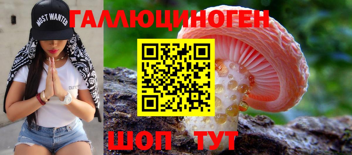 Галлюциногенные грибы Cubensis  Вход с VPN  Саянск 